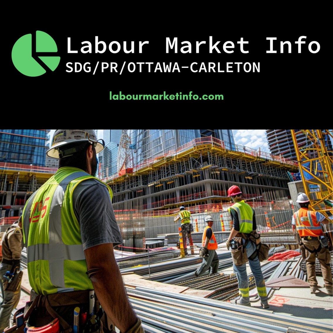 LabourMarketInfo.com